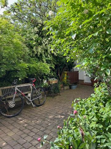 Apartment Cblue Friedrich Franz, 500 M Zum Strand, Zentral Rostock